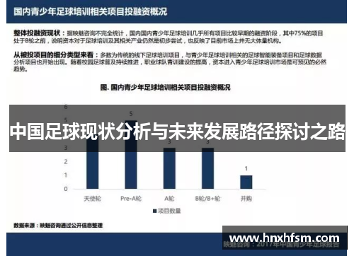 中国足球现状分析与未来发展路径探讨之路