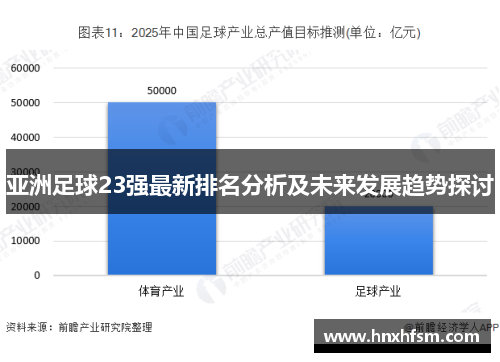 亚洲足球23强最新排名分析及未来发展趋势探讨